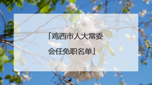 鸡西市人大常委会任免职名单